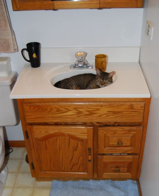 Acid picdump (101 pics) Acid picdump (101 pics)