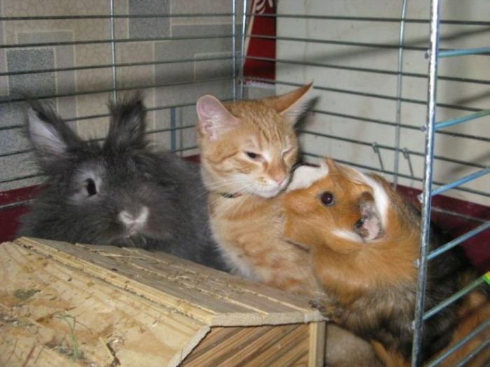 Acid picdump (101 pics) Acid picdump (101 pics)