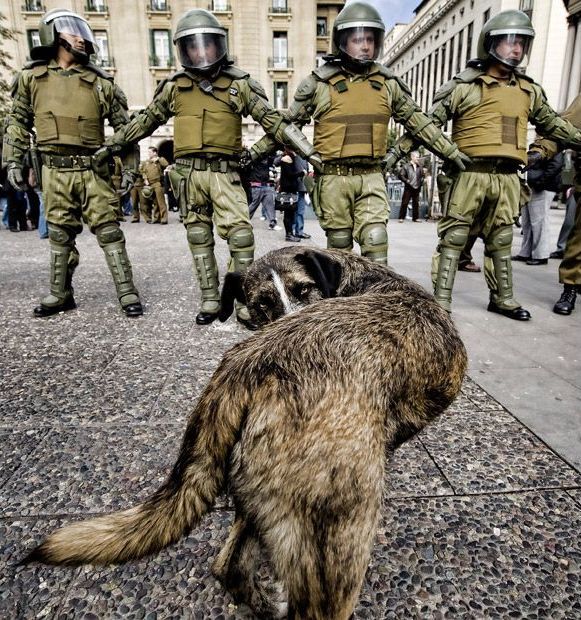 Acid picdump (101 pics) Acid picdump (101 pics)