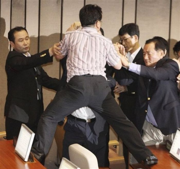 Fight in South Korea's parliament (20 pics + video)