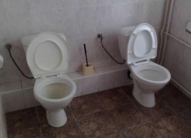 Toilet Humor (117 pics)