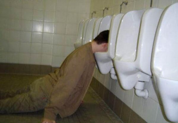 Toilet Humor (117 pics)