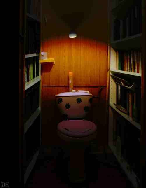 Toilet Humor (117 pics)