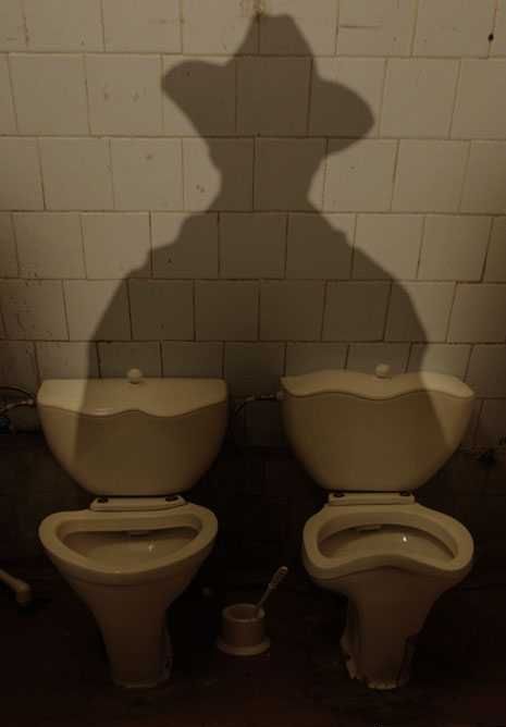Toilet Humor (117 pics)