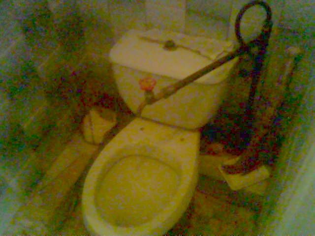 Toilet Humor (117 pics)
