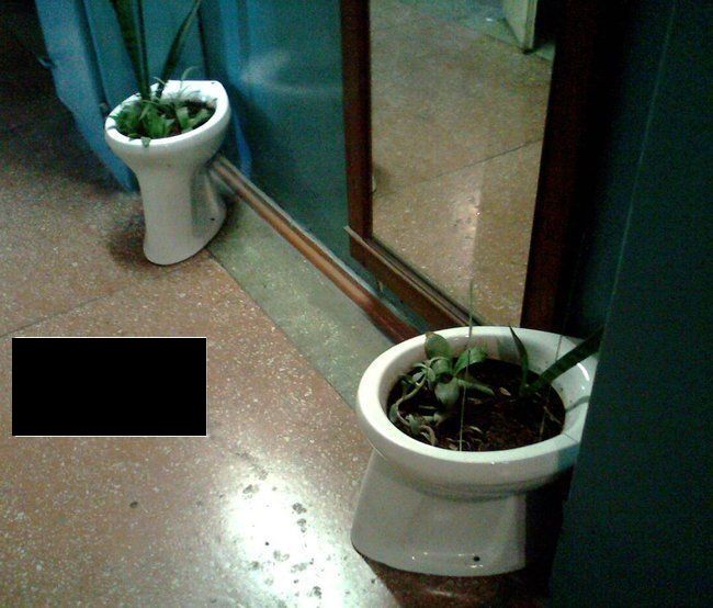 Toilet Humor (117 pics)