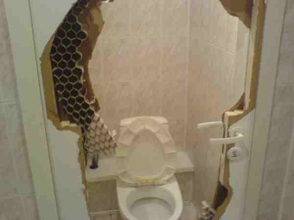 Toilet Humor (117 pics)