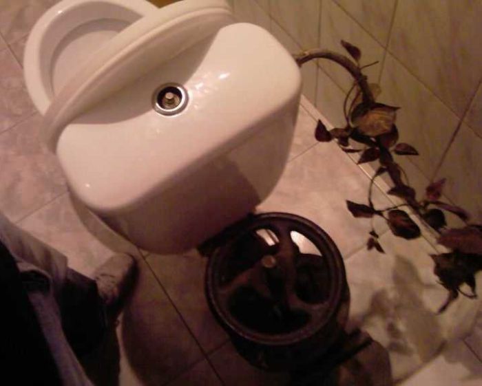 Toilet Humor (117 pics)