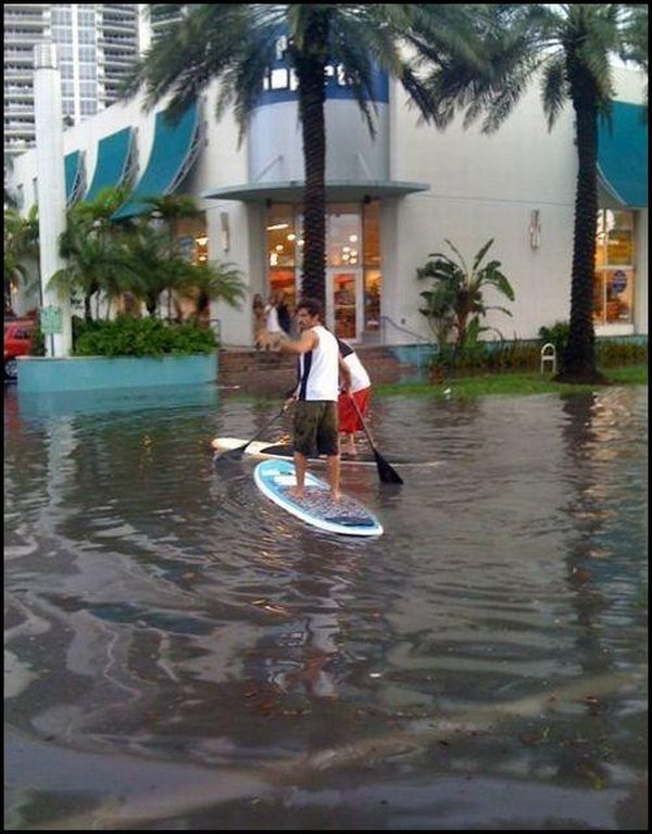 Acid Picdump (103 pics)