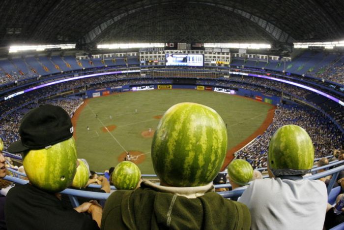 Acid Picdump (103 pics)
