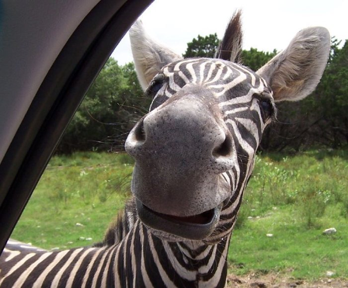 Acid Picdump (103 pics)