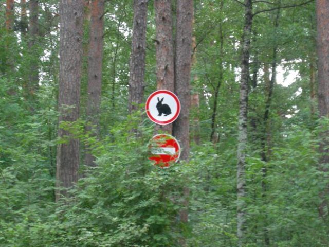 Acid Picdump (103 pics)