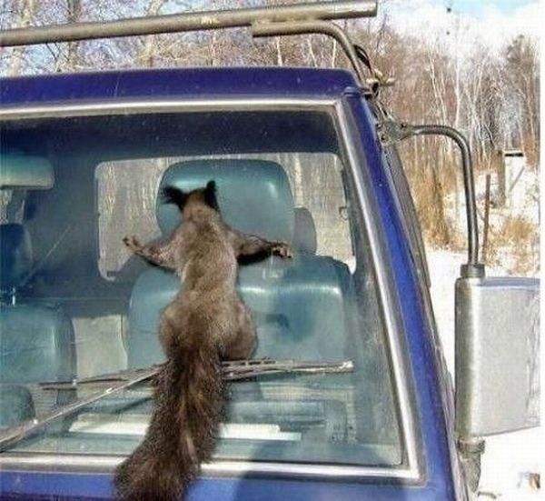 Acid Picdump (103 pics)