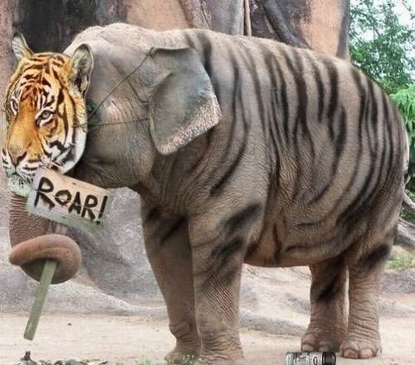 Acid Picdump (103 pics)