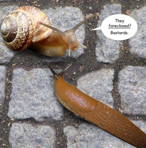 Acid picdump (124 pics)