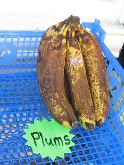 Acid picdump (124 pics)