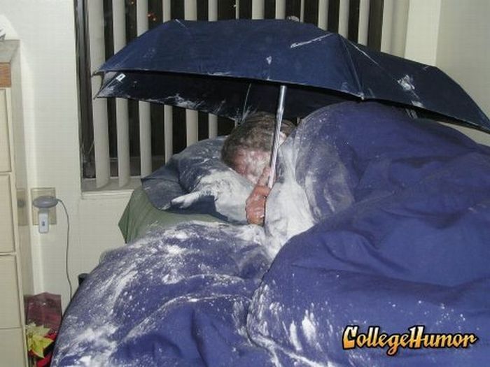 Drunk pranks (88 pics)