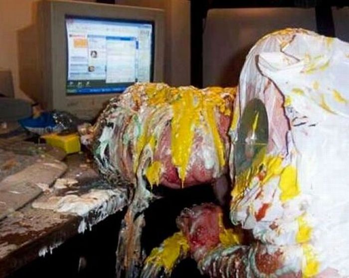 Drunk pranks (88 pics)