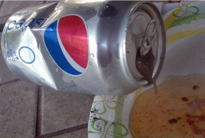 WTF Pepsi Can (9 pics)