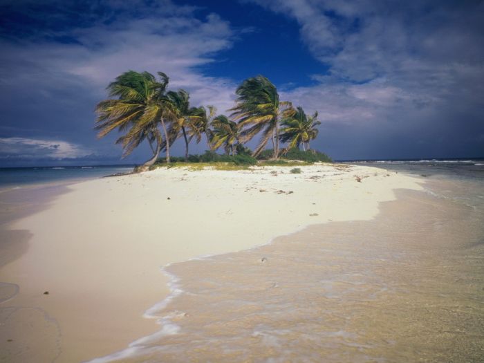 Islands of the Caribbean - the paradise on Earth (18 pics)