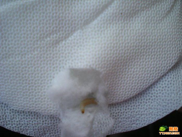 Scary stuff can be found in Chinese  pantyliner (5 pics)