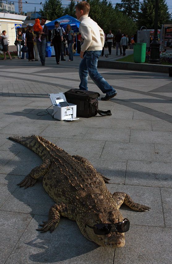 Acid Picdump (98 pics)