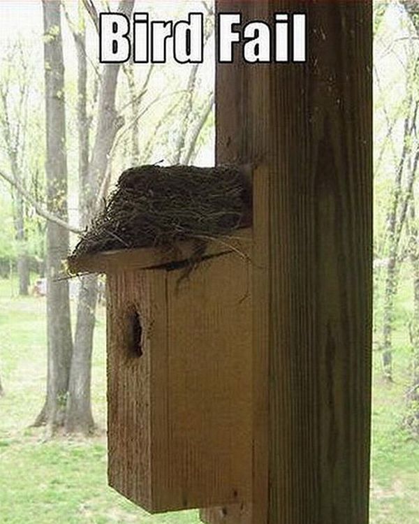 Acid Picdump (98 pics)