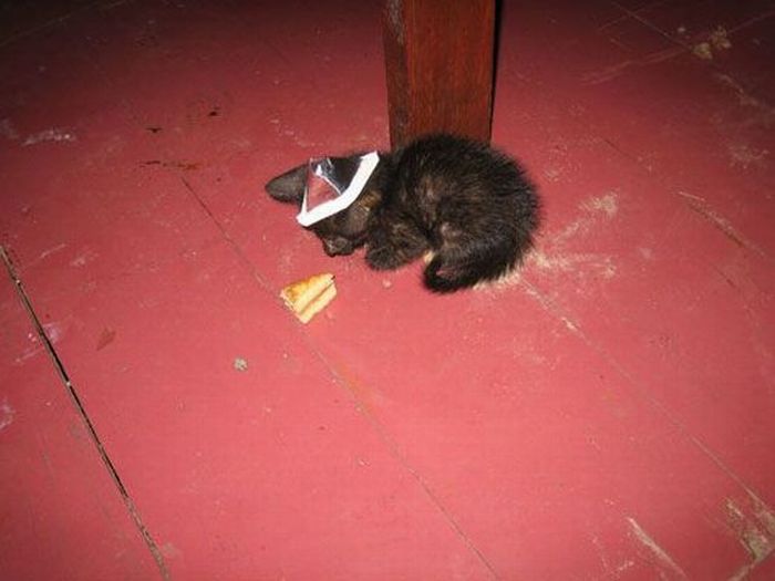Acid Picdump (98 pics)