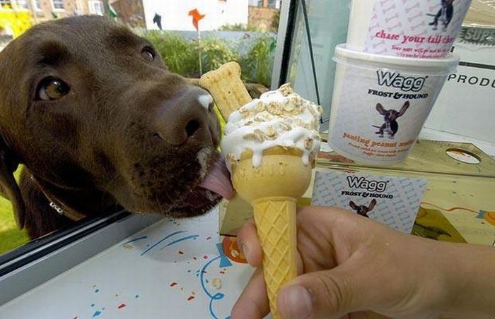 Acid Picdump (98 pics)