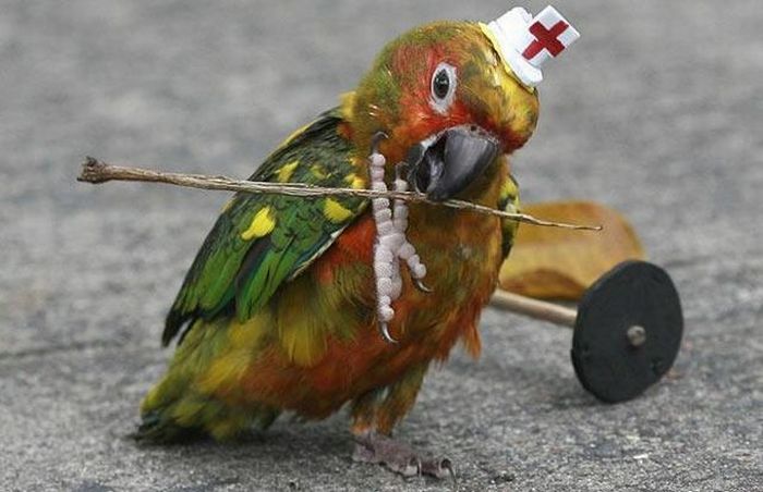 Acid Picdump (98 pics)