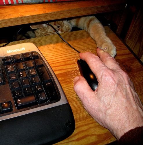 Acid Picdump (98 pics)