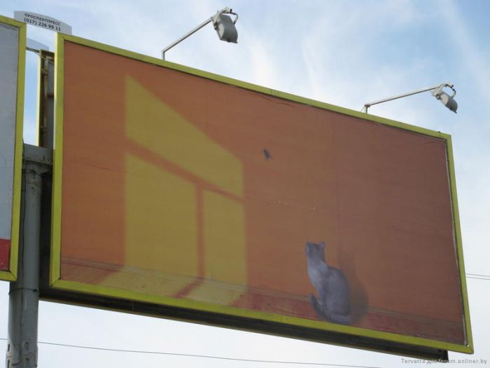 Acid Picdump (98 pics)