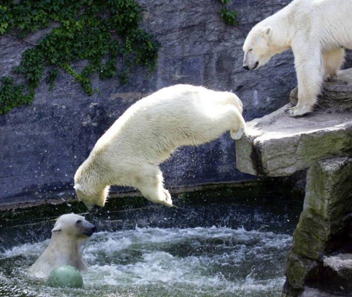 Acid Picdump (98 pics)