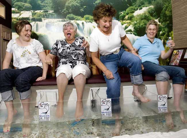 Acid Picdump (98 pics)