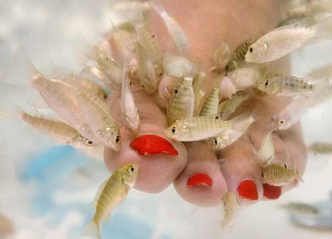 Acid Picdump (98 pics)