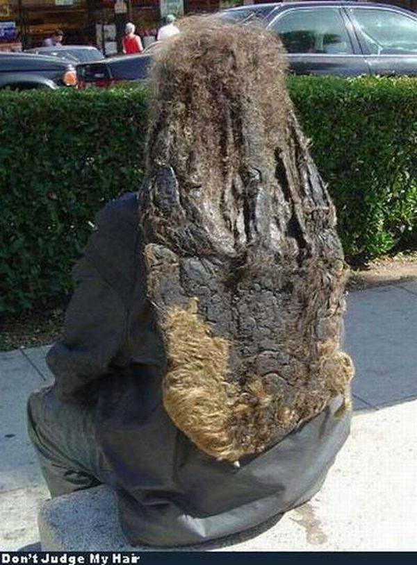 Funny haircuts (49 pics)