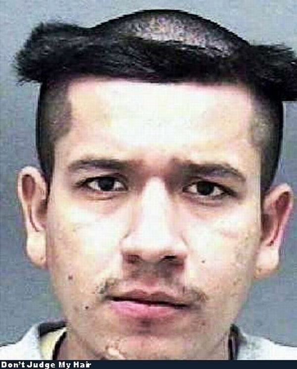 Funny haircuts (49 pics)