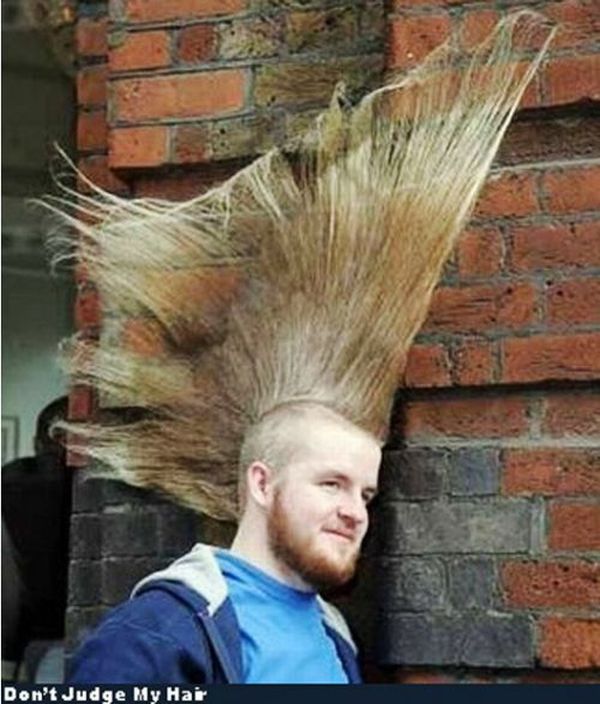 Funny haircuts (49 pics)