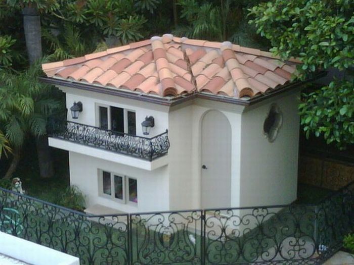 Paris Hilton's dogs have a new home (12 pics)