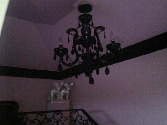 Paris Hilton's dogs have a new home (12 pics)