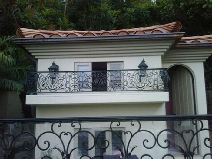 Paris Hilton's dogs have a new home (12 pics)