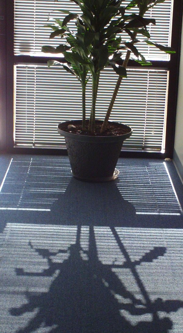 Acid Picdump (118 pics)