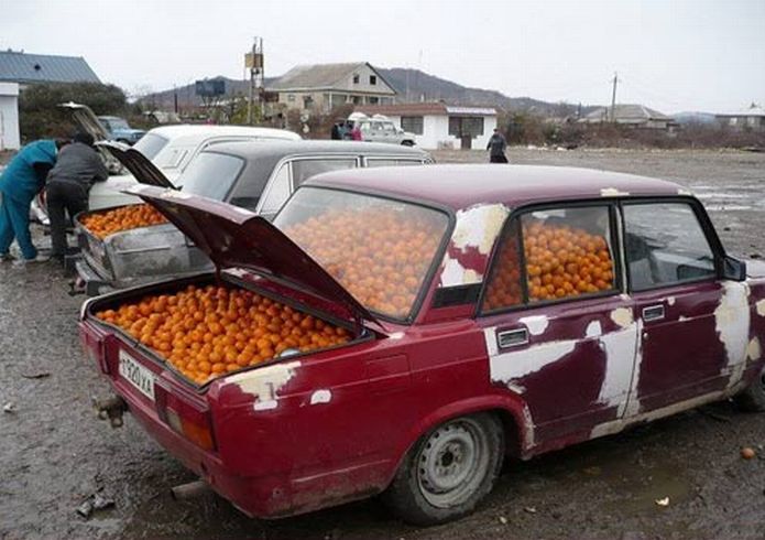 Acid Picdump (118 pics)