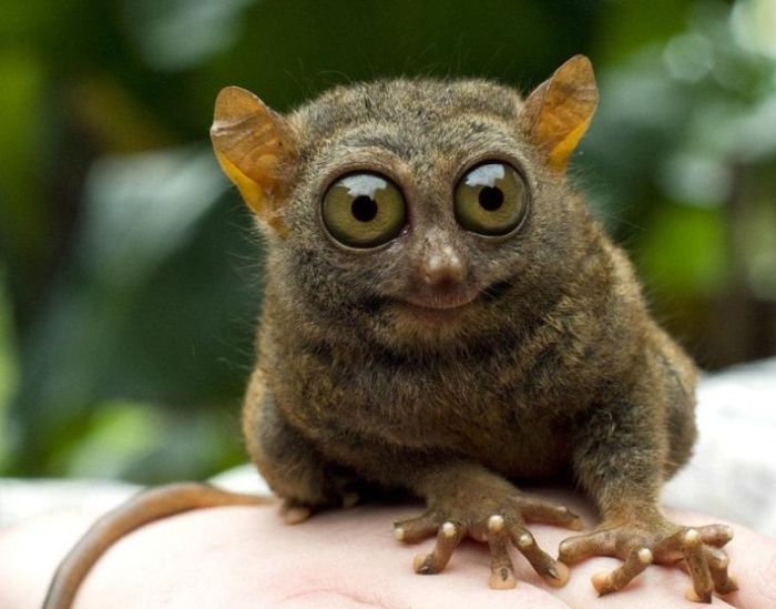 Acid Picdump (118 pics)