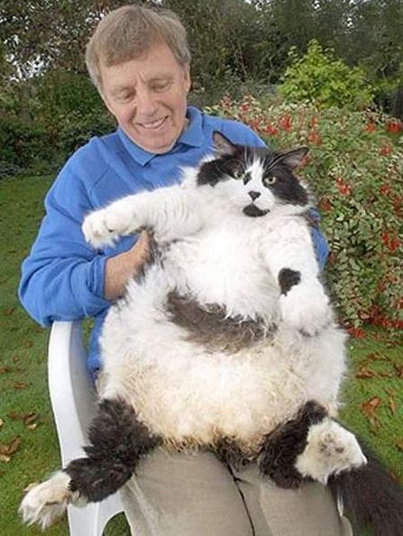 Acid Picdump (118 pics)