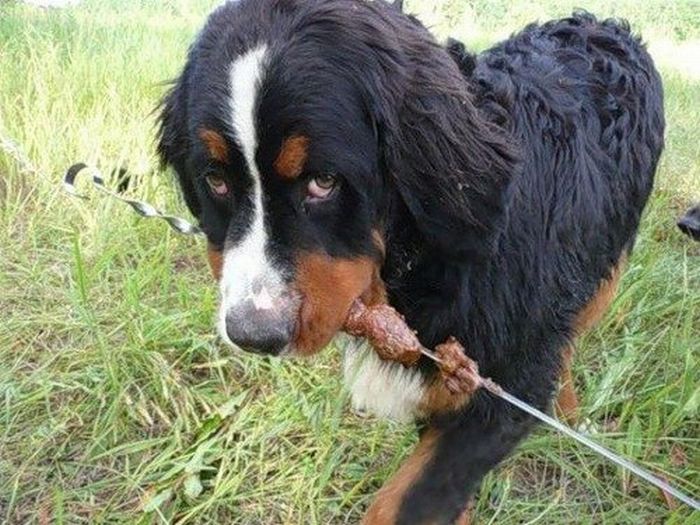 Acid Picdump (118 pics)