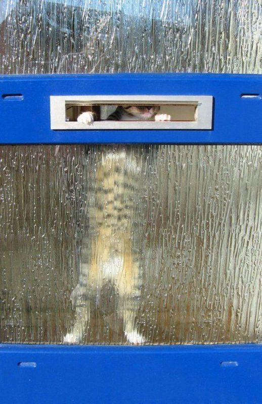 Acid Picdump (118 pics)