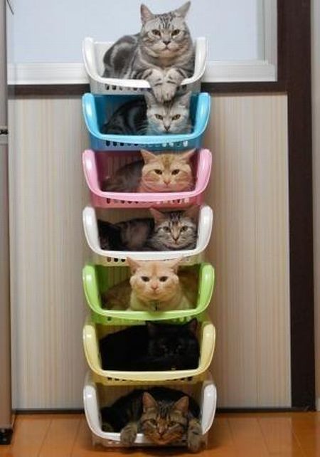 Acid Picdump (118 pics)
