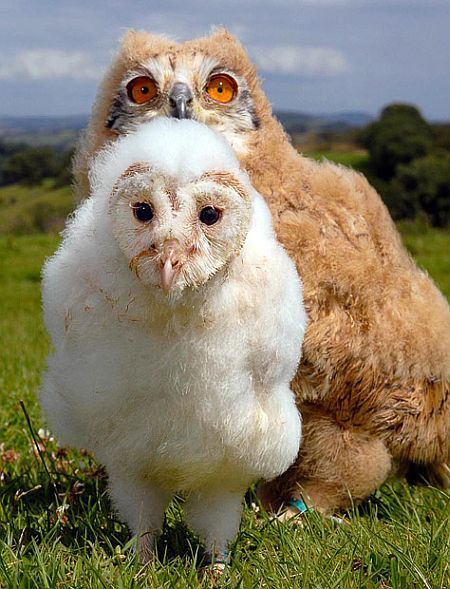 Acid Picdump (118 pics)