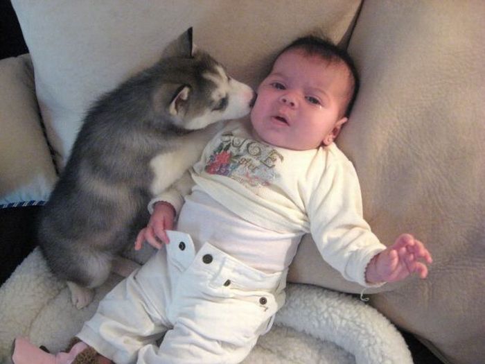 Acid Picdump (118 pics)